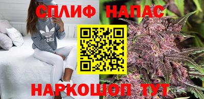 дмт Обнинск