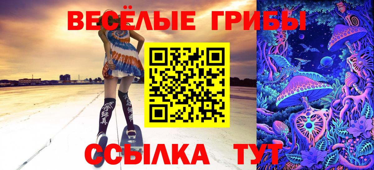 Псилоцибиновые грибы GOLDEN TEACHER  Вход с VPN  Усолье-Сибирское 